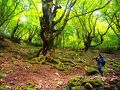 神鍋高原の旅行記