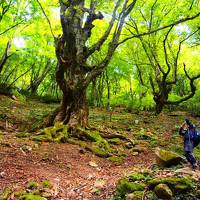 大阪の夏のおでんと神鍋高原 植村直己が愛した蘇武岳に遊んだ３泊４日　　神鍋編