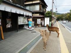 二日連続で奈良に行ってきました。もうちょっとでおしまいdeath！になるところでしたけどね。