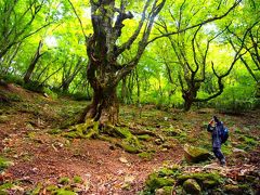 大阪の夏のおでんと神鍋高原 植村直己が愛した蘇武岳に遊んだ３泊４日　　神鍋編