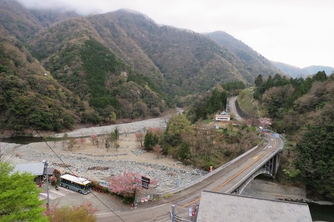 ［秘境！路線バス乗り継ぎ旅　２日目：前編］ 神奈中バス【三56系統】で道志村（山梨県）から相模原市（神奈川県）へ県境越え！