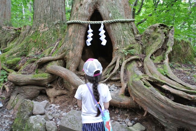 8月のお盆休みまでは仕事ばかりして旅行への興味が失せていたあいぼん。気つけばGoToトラベルキャンペーンで、国内はお得に泊まれるようになっているようで、いろいろ行ってみることにしました。<br /><br />GoTo第一弾は戸隠パワースポット巡りです。<br />寝ても覚めても機械学習の勉強しすぎて頭と肩が疲れていたので、パワーをもらいに行ってきまーす!