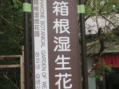 箱根路とナラ枯れ