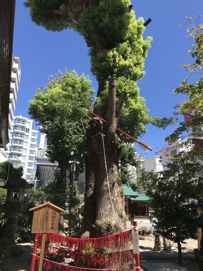 所用があり名古屋の大須方面に行きました。<br />大須は名古屋では有名な観音さんや昔からの商店街があります。<br />アーケード街です。京都の京極の商店街みたいな感じと言うと少しイメージしていただけるでしょうか<br />なかなかうまく写真撮れず伝わらないかも・・<br />前から行きたかった神社にも行きました。御朱印がかわいいのです。<br />大須界隈ぶらり旅です。<br />