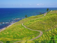 20200905-4 輪島 白米千枚田で、田んぼ見学と道の駅のおにぎり。