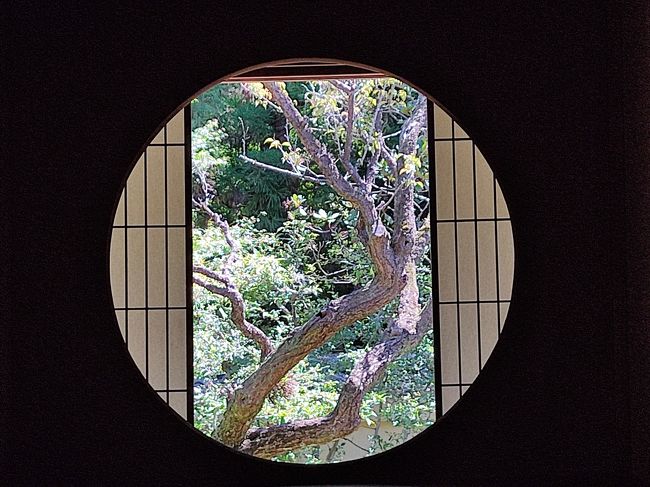残暑厳しい毎日·····(´Д`υ) アヅイ<br /><br />そんな時はどこかへ旅したくなるわぁ~♪<br />·····てか、暑くても寒くても年がら年中旅したい気分のオキャマですが·····( ^_^ ;)<br /><br /><br />ふと皆様の旅行記を拝見させて頂くと·····(¬_¬)<br /><br /><br />アラァ♥<br /><br />京都·····観光客が少なくて良さげじゃない♪<br /><br />丁度キャマ友と次のお休みにどっか行来ましょ!ってお話ししてたとこだったオキャマ·····<br /><br />キャマ友はどこでも良いわよぉ~って言ってたから·····<br /><br /><br />「そうだ!京都に行こう!」<br /><br />速攻予約取って勝手に決めちゃいました·····「キャマ友二人旅♪」·····( ^_^ ;)<br /><br /><br /><br />今回はありがたく、某県民(都民じゃないの)の特典を活かして「go to travel キャンペーン」でお安く旅させて頂きましたぁ⭐<br /><br /><br />①「2020年9月 go toキャンペーンで観光客の少ない京都へPart2 by キャマ友二人旅♪」<br />https://4travel.jp/travelogue/11644861<br /><br />②「2020年9月 go to キャンペーンで観光客の少ない京都へPart2 byキャマ友二人旅♪」⬅こちらですぅ♪<br /><br />