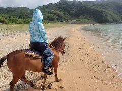 与那国島の南牧場のヨナグニ馬たち。②