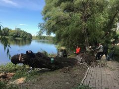 龍沙公園