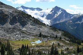 高山植物もそろそろ終わりだねーブラッコムでハイキング　ウィスラーで３泊