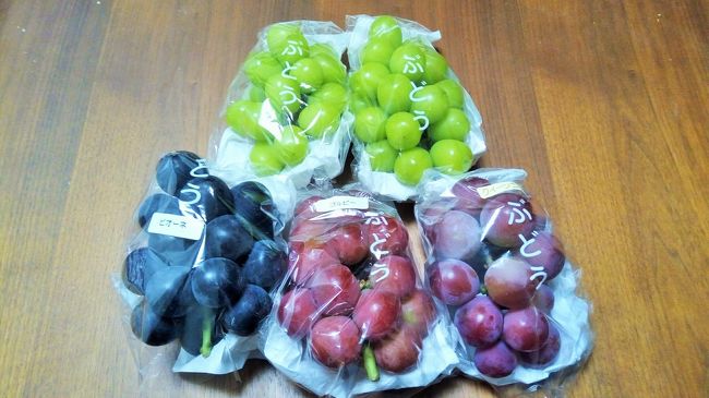 ぶどう狩りではなく、ぶどうを買いにいってきました。