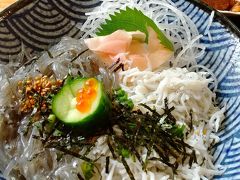 千葉県飯岡刑部岬と生シラス丼を食べに。