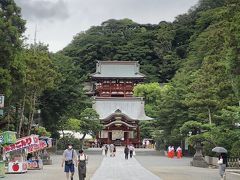 ふらり鎌倉①～鶴岡八幡宮