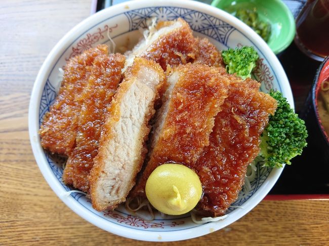 美味しそうなソースかつ丼はないものか。<br />とGoogleのクチコミで探していたら、こちらの道の駅大芝高原の一角のお店を見っけ。そのビジュアル、クチコミに惚れて平日、愛知県から延々国道を使って4時間半かけて行ってきました。合わせ技(?)で温泉も入りた～いということで以下な行程で行ってきました。今回も参考にならない、ほんっと脈絡のない旅行記です。良かったら覗いてみて下さい。<br /><br />愛知県⇒R153で道の駅信州平谷⇒道の駅田切の里⇒大芝高原(ランチタイム)<br />大芝高原⇒中央自動車道で飯田インター下車⇒りんごの里⇒飯田インターから帰路へ