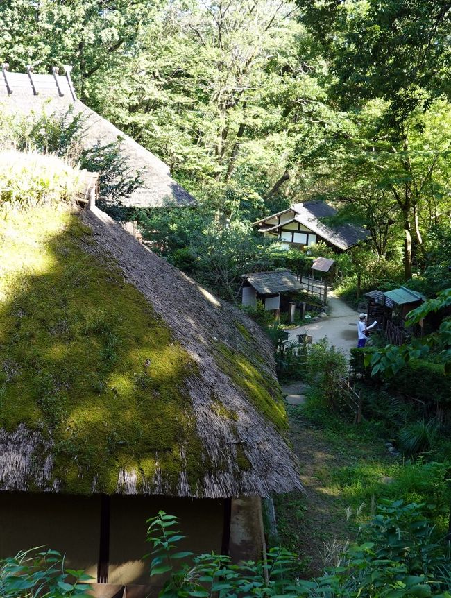 　早めの昼食をとり、生田緑地にある日本民家園を目指します。<br />日本民家園は、川崎市が消滅しつつある国内の古民家を長く残すことを目的に、昭和４２年に開園した野外博物館です。<br />　主に東日本を中心に二十数軒を数えます、それでは順番に見ていきましょう。<br />来場者はコロナと暑さの為、少な目でした。