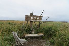 道東旅行　３　（野付半島と釧路湿原・細岡展望台）