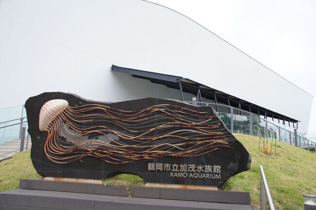 山形県鶴岡市三瀬の海岸に流れ着いたキタゾウアザラシのこども。本来の生息地が北米のため野生に戻すこともできず、保護先の加茂水族館で飼育を継続することになりました。<br />これは会いに行くしかない!と、公開開始から半年後の2018年9月に日程を確保。今回も水族館に行くことだけが目的の1泊3日ひとり旅です。<br /><br /><br />今ココ→0日目:東京→鶴岡<br /> →1日目:≪加茂水族館≫魚<br /> クラゲ(https://4travel.jp/travelogue/11645951)<br /> アザラシ→新潟(https://4travel.jp/travelogue/11647418)<br /> 2日目:≪マリンピア日本海≫本館(https://4travel.jp/travelogue/11651820)<br /> 水辺の小動館→東京(https://4travel.jp/travelogue/11657280)