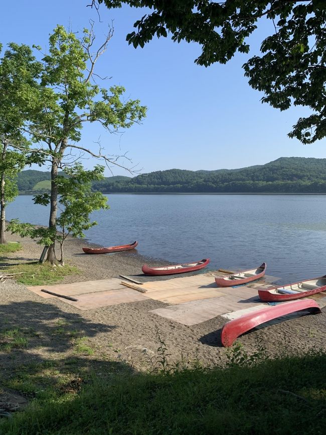 夏の予定が決めきれずシーズン突入して探したエリアが夏の北海道。コロナの為学校の夏休みが短縮されたせいでか8月後半のPeachの関空ー釧路のチケットがお手頃でしたので予約し、gotoトラベルを利用してホテルを予約。いち早くわかりやすい案内をくれた近畿日本ツーリスト経由で釧路市内ホテル2泊しました。関西とは違いカラッと涼しい北海道でつかの間の避暑を楽しみました。2日目は釧路湿原カヌーをメインに湿原のいろんなエリアを周りました。