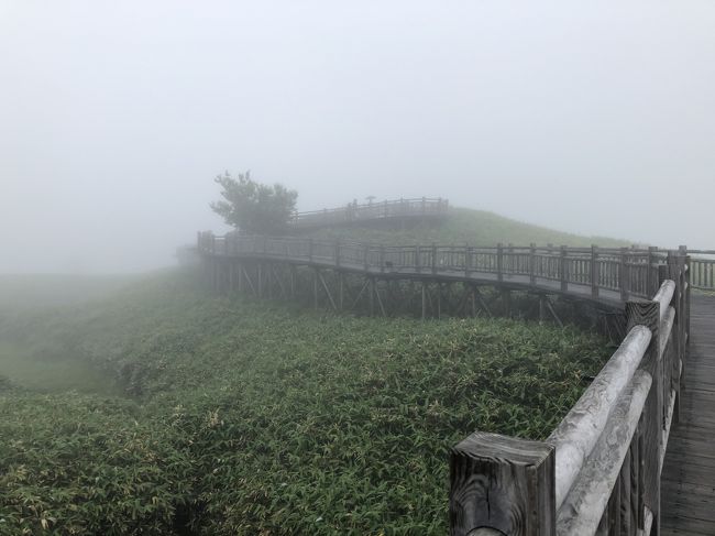 オリンピック開会式前後の連休に、3泊4日の北海道旅行を計画しました。<br />まだ、コロナが騒がれる前のことです。<br />移動自粛が解除されたので、予定どおり出かけることにしましたが、知床五湖を巡るツアーは、影響を考えキャンセルしました。<br />久しぶりに訪ねた知床は天気が悪く、景色はいまいちでした。<br /><br />■ルート<br />・07月23日 羽田⇒紋別⇒網走⇒斜里<br />・07月24日 斜里⇒ウトロ⇒斜里<br />・07月25日 斜里⇒川湯<br />・07月26日 川湯⇒紋別⇒羽田<br /><br />■フライト<br />＜7月23日＞<br />・羽田10:35⇒紋別12:20（ANA375）<br />＜７月26日＞<br />・紋別13:10⇒羽田15:00（ANA376）<br /><br />■費用<br />・羽田⇔紋別 10,000マイル（マイレージプラス）<br />・ルートイングランティア知床斜里駅前 33,200円（ツイン禁煙・2泊） <br />・お宿欣喜湯（旧川湯ホテルプラザ）29,400円（和室10畳・夕朝食付）<br />・トヨタレンタカー 20,399円（C2 35%off基本21,449/免責4,950/クーポン▲6,000）