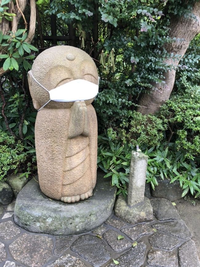 鎌倉散策は長谷へ。<br />長谷寺のカフェでゆっくり休憩して、中をじっくりお参りしました。<br />中に洞窟があったとは知りませんでした。<br /><br />長谷近辺のお店は非常に閉めているところがおおく<br />ちょっと心配になりました。