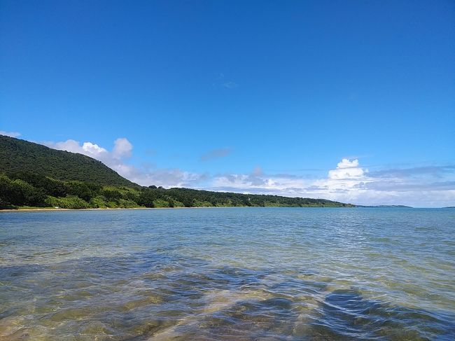 沖縄離島２０２０夏旅行記　【６】西表島６（SUP&滝壺ツアー）