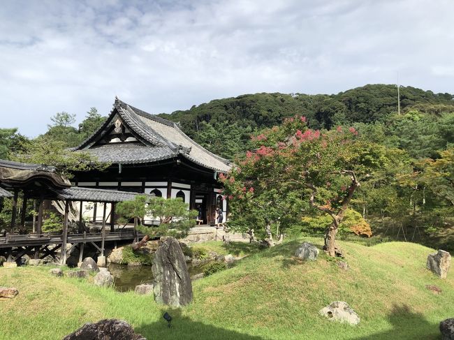 気軽に旅行ができなくなった2020年。。<br /><br />楽しみがなくなってしまったけど、<br /><br />これは…<br /><br />逆にチャンスかも。。<br /><br />ここまで観光客が少ない京都は、<br /><br />なかなかない。。<br /><br />ということで、<br /><br />通常なら、観光客が多すぎて行こうとは思わないところに<br /><br />順に行ってみることにしました。<br /><br />第2弾。