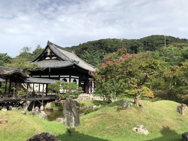 Go To 京都 2 建仁寺 高台寺 圓徳院 壱銭洋食