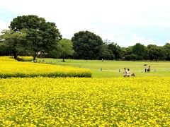 約1年振りの昭和記念公園、花散歩