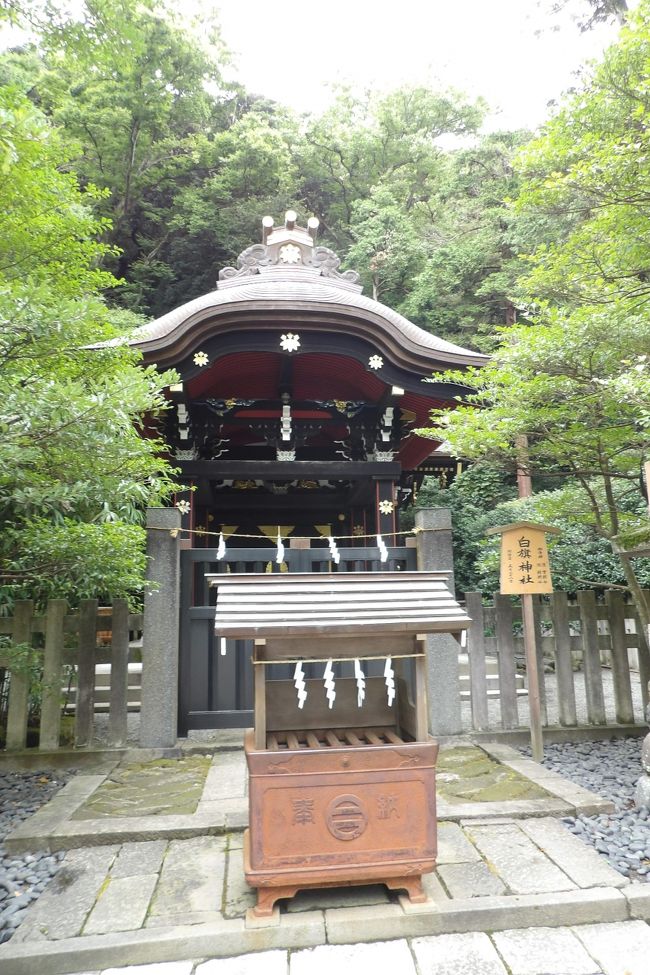 　鶴岡八幡宮境内にある白旗神社（https://4travel.jp/travelogue/10594224）には源頼朝とその息子実朝が祀られている。初代と3代目の将軍（鎌倉殿）である。<br />　頼朝は平治の乱（平治元年（1159年））で、従五位下の官位を剥奪されて伊豆蛭ヶ小島に流され、流人となっていた。しかし、平家追討の旗揚げをし、寿永2年（1183年）10月には平家が都落ちし、その勲功第一とされた頼朝は謀反人の立場を脱し、元の位階に複したのである。その後、元歴2年（1185年）に頼朝は木曽義仲追悼の恩賞として後白河法皇から正四位下に叙せられた。6階級昇進である。この昇進は天慶3年（940年）に平将門を討ち取った藤原秀郷が、六位から従四位下に昇進した先例に倣ったものであった。<br />　葛原岡神社に祀られている日野俊基は没後550年余り経った明治17年（1884年）になって4階級特進した。本宮の鎌倉宮の宮司でさえも、その4階級に驚いていた。立憲君主制をめざしていた明治政府は帝国憲法発布前であったが、日野俊基を4階級特進させ、日野俊基卿にした。帝国陸軍・海軍にも4階級特進までの規定があったが、例えば、山本五十六連合艦隊司令長官が戦死して国葬が営まれたが、その際に大将から元帥に1階級昇進している。せいぜい2階級特進が関の山で、戦後になった今日でも警察官や自衛官、外交官が殉死・殉職した場合には慣例で2階級特進する習わしである（https://4travel.jp/dm_shisetsu_tips/14136574）。その最初が日野俊基公の4階級特進であるが、上には上があるものだ。それも存命中に6階級昇進したのがここ白旗神社に祀られている源頼朝である。<br />　白旗神社には昇進祈願にご利益があるとは書かれてはいないが、昇進祈願にご利益がありそうな第一の神社であるように思える。<br />（表紙写真は白旗神社）