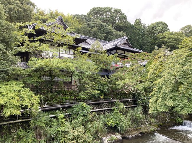 2020年8月下旬に夫婦で湯河原温泉に行ってきました。TOTOCO小田原のとと丸食堂で海鮮丼を食べてから湯河原の温泉旅館「富士屋旅館 湯河原」の洛味荘に宿泊。宿も料理も最高でした。2日目は軽く観光してご当地B級グルメの担々やきそばを食べました。<br /><br />今回宿泊した旅館はGoToトラベルキャンペーンを使い予約しました。湯河原は箱根や熱海、伊豆など近隣の観光地より混雑が少なく穴場でおススメかも。<br /><br />動画はこちらから<br /><br />https://youtu.be/EDz7g7aK2rQ