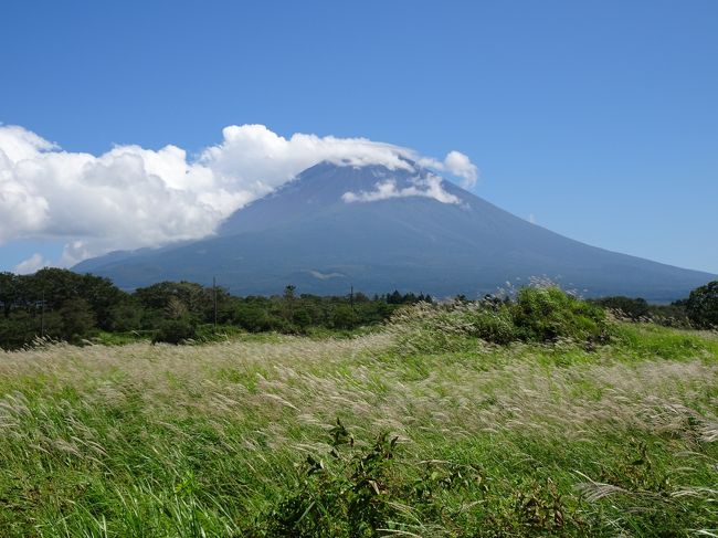 今回は日本人だらけの忍野八海、白糸の滝の観光と、温泉の日帰りドライブ旅です。お天気は良かったのですが、富士山も私と同じで、少しすねていました。