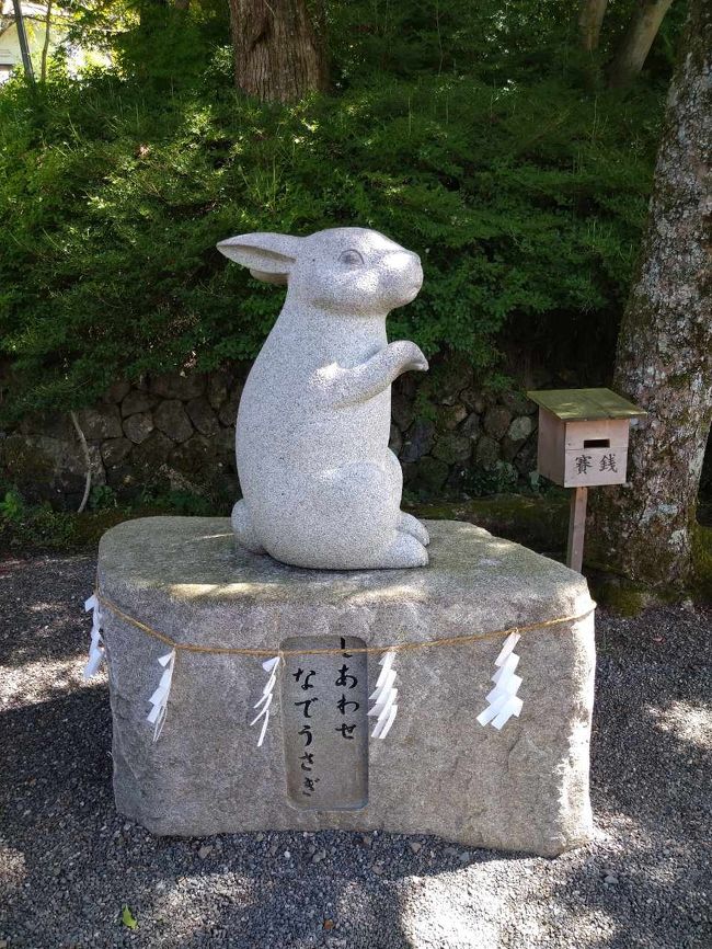 10年ぶりくらいの京都観光です。<br />神社仏閣巡りがメインからのグルメ日記。