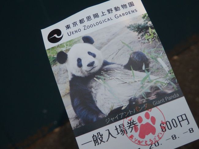 上野動物園の西園の新パンダ舎「パンダのもり」がついに完成し、9月8日から一般公開！ということで、早速出かけてきました。新パンダ舎には、シンシンとリーリーが移動して、元気な姿を見ることができました。<br /><br />12月に返還予定のシャンシャンは移動せず、従来のパンダ舎で会うことができます。<br /><br />「パンダのもり」公開前の8月8日と公開後の9月12日の上野動物園の様子の記録です。パンダは撮影禁止でしたが、よろしければご覧ください～！