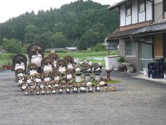 信楽の「陶芸の森」へ行って来ました