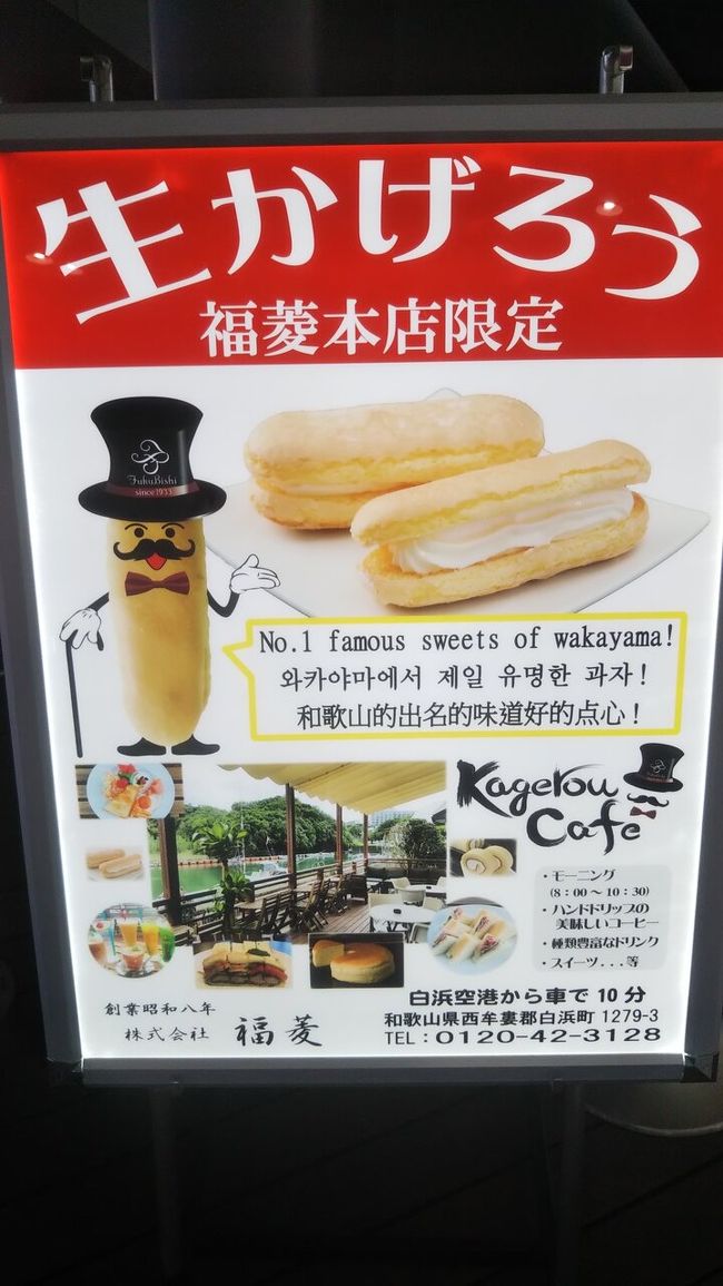 7月にどこかにマイルで行った北海道が楽しかったので、調子に乗って2回目を申し込んでしまいました。<br />実家が伊丹から30分の私は、何としても伊丹行は阻止する必要があり(笑)、ブラウザを変えてトライする事100数回、広島、出雲、新千歳(当たったらウポポイ行くぞ~)、南紀白浜と出て、これはもう厳島神社か出雲大社をご参拝だねと安心しきって申しこみ。結果・・・・南紀白浜でした~(#^.^#)<br /><br />巷で噂される一番行きたくない所が当たるというのも一理あるなと思いつつ・・・<br />白浜が嫌なんじゃなく、大阪出身の私は子供の頃は毎年のように白浜に海水浴に出掛けていた。<br />大人になって友人たちと行くのは須摩や淡路島、要するに白浜は子供とファミリーが行くという印象が強いのです。<br />でもまあ、上野のシャンシャンも見たことないし、パンダを見に行こうと気持ちを切り替えました。<br /><br />又も会社に秘密第2弾、GOTOトラベル除外の嫌われ者の都民ですが、全員が陽性ではございません。<br />身も心も元気になる旅行をしても、どうか批判はご容赦くださいませm(__)m