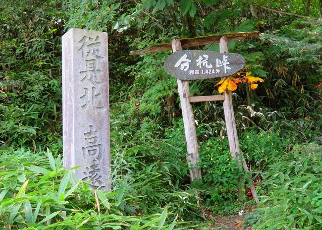 今年は新型コロナの影響で異様な真夏のマスク姿・・・(￣□￣)<br /><br />トラベラーの『たんきちさん』の道の駅旅行記にも登場しましたが、7月末まで大雨の影響で道路が通行止だった分杭峠、8/22（土）から開通して今回の訪問も決行できました。<br /><br />発見から今年で25年経過したゼロ磁場やパワースポットとして知られる分杭峠。<br />ゼロ磁場とは、2つの地層が押し合うエネルギーの強い『気』が集まる場所。<br /><br />2009年の初回から2014年を除いた毎年パワー充電にお出掛けして、今年で遂に11回目の訪問となりました。<br />昨年訪問時は、過去に経験ないくらい人が多くて、シャトルバス乗り場の駐車場も満車で空き待ち、バスも乗車まで1時間以上待ちと想定外の大混雑でした。<br /><br />11回目の訪問となる今回は、新型コロナの影響もあって、シャトルバスも密にならない少人数で運行らしく混雑するのかも予測不可能に近い・・・(^▽^;)<br />今回は、そんな予測不可能な分杭峠のゼロ磁場だけでなく、南下した大鹿村方面の磁場坂や中央構造線北川露頭などにも足を運んでみました。<br /><br />たけしの知らないニュース超常現象SPでも放送されましたんで、またブーム再燃しそうな予感・・・(^▽^;)<br />https://www.youtube.com/watch?v=rAY6d9_IuGs<br /><br />分杭峠<br />https://inashi-kankoukyoukai.jp/contents/archives/31218