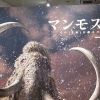 ふらっと大阪南港へ「マンモス展～その「生命」は蘇るのか～」を見に来ました