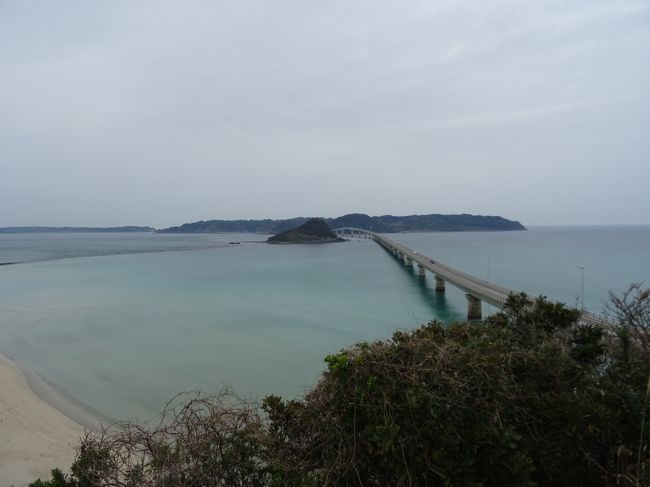 山口県をぐるり一周している旅行記ですが、ついに山口県北端までやってきました!<br />今回はドライブスポットとしてふさわしい角島を中心にご紹介します!