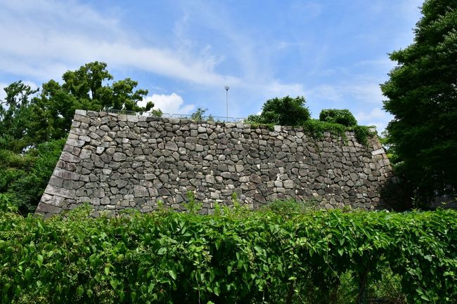 　二条城、妙顕寺城、勝竜寺城、淀城、伏見城を訪れた。<br /><br />　2月の旅は京都府北部だったので、今回は主に京都市内を巡った。<br /><br />　城の他に、恵解山古墳、醍醐寺、法観寺、清水寺を訪れた。<br /><br />　京都鉄道博物館も訪れる予定だったが、城や寺を満喫し過ぎて、行けなかった。<br /><br />　コロナウィルスの影響からか、時期の割には混雑していなかった感じ。