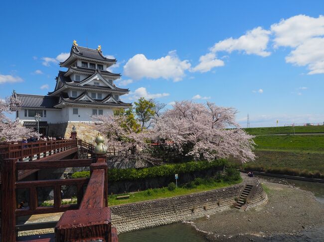 2021年もきれいに桜が咲きましたが、皆様におかれましてはソーシャルディスタンスに配慮しつつも桜の花見を楽しまれましたでしょうか。私の方は、通勤の行き帰りなどで眺めたりはしたのですが、じっくり鑑賞する前に葉桜になってしまいました。せめて、去年の写真を引っ張り出してエア花見でも……と思い、去年の墨俣一夜城の満開の桜の写真を引っ張り出してまいりました。<br /><br />596冊目　2021/04/13投稿