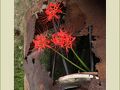 津和野の旅行記