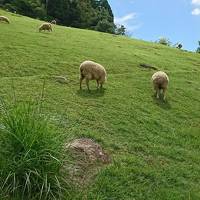 六甲山はまだまだ暑かった！