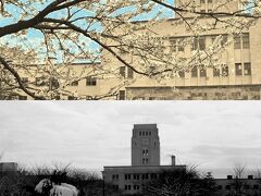 シリーズ昭和の記録No.21 大学構内の四季　Four seasons of college in Ookayama  campus 