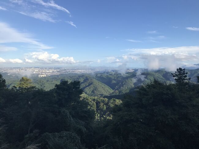 朝から思わしくない空模様。それが昼には一度上がって青空も垣間見える。家で、ゴロゴロしていても空しいし。どこか出かけよう。東京に長く住んでいるけど高尾山って行ったことないから登ってみようか。新宿までいけば、京王線1本で行けるし、と軽い気持ちで高尾山へ