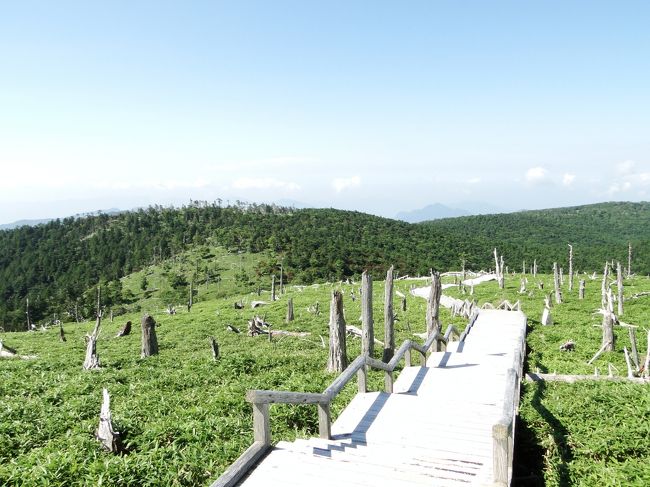 3月の京都嵐山以来約4か月ぶりに大阪を出て隣県の奈良県の大台ケ原（三重県との県境）まで行きました。<br /><br /><br />