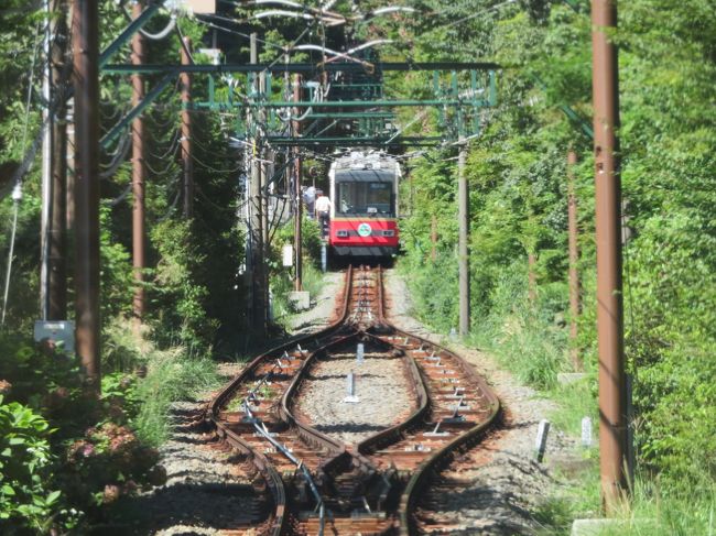 2020年9月4日（金）箱根旅行2日目♪こんなに晴れるとは思わず、4日（金）は11時からそば打ち体験の予定をいれてしまった。なので、11時まで出来る事をみっちり!!!っという事で、登山列車に乗り込んで強羅まで行き、ケーブルカーに乗ってみることに♪<br /><br />表紙のフォトはケーブルカーの交差する手前です(^^)/<br /><br />