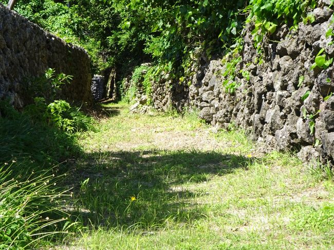 早朝､喜界島に着きHで仮眠し､喜界島一周(鴈股の泉 ﾑﾁｬ加那公園 平家上陸の地 阿伝の石垣 巨大ｶﾞｼﾞｭﾏﾙ ｳﾌﾔｸﾞﾁ鍾乳洞 七島鼻 百ﾉ台展望台等)し､観光しました｡翌日､飛行機で奄美大島に行きます｡<br />⑦10月3日(土）<br />H4:45着 仮眠 朝食(7:00-30) 散歩(7:40-8:40)(喜界島ｶﾄﾘｯｸ教会 戦闘指揮所跡 掩体壕 僧俊寛の墓 徳洲会病院と散歩します｡9:30H出発｡<br />(喜界島観光) 喜界島はﾊﾌﾞがいません｡(H ｽｷﾞﾗﾋﾞｰﾁ 喜界空港 坂嶺を通り  <br />1)東北大震災の宮城船籍の漂着船(大ｳﾅｷﾞと綺麗な浜辺)を見て､<br />2)東経130度線ﾓﾆｭﾒﾝﾄで記念撮影をします｡<br />3)鴈股の泉(源為朝の島流し)と産湯の清水･小野氏の胸像を見て､<br />4)ﾑﾁｬ加那公園(10:50-11:00)(母ｳﾗﾄﾐ(崖下の墓)とﾑﾁｬｶﾅの悲しい親子の物語を聞きます。<br />5)ﾊﾜｲﾋﾞｰﾁ(11:10-20)(喜界島の最北端で砂が細かく､ｻﾝｺﾞが綺麗です｡)<br />6)平家上陸の地(11:25-35)(源平の史跡)(菅原神社)-七城跡 平家森 勝運家 末吉神社を通り､<br />7)阿伝集落(ｻﾝｺﾞの残る石垣を散策します｡)(12:00-20)(ﾊﾞﾅﾅﾛｰﾄﾞ 島ﾐｶﾝ ﾌｸｷﾞ 阿伝の海を見ます｡<br />8) 手久津久集落の巨大ｶﾞｼﾞｭﾏﾙ(樹齢100年超高さ17.7m)と川尻遺跡を見学し､-荒木集落(長寿の女性)を通り<br />9)昼食(12:45-13:45)回転寿司｢大吉｣山羊定食1700円を戴きます｡<br />10)俊寛の墓(13:50-14:00)(鹿ｹ谷の密謀で島流しされました｡)<br />11)ｳﾌﾔｸﾞﾁ鍾乳洞と長石の辻遺跡(風葬)を見学し(14:15-25)-地下ﾀﾞﾑ(水源地) 城久遺跡を通り､ <br />12)ﾃｰﾊﾞﾙﾊﾞﾝﾀﾞ(14:43-50)(ｻﾝｺﾞの隆起した段丘が3段階で見えます｡)<br />13)七島鼻(14:55-15:05)(島の最高地点211m)(戦時中の電波基地跡 自衛隊の基地)を見学し<br />14)百ﾉ台展望台(15:10-25)(奄美十景で太平洋と東ｼﾅ海を一望します｡ ｱｻｷﾞﾏﾀﾞﾗは見られませんでした｡)<br />15)ｻﾄｳｷﾋﾞの一本道(ｼｭｶﾞｰﾛｰﾄﾞ)(15:43-48)飛び上がる写真を撮ります｡ <br />16)朝日酒造見学と試飲(16:00-25)し､   16:30Hに戻ります｡<br />17)夕食(18:30-20:00)歩いて創作料理海の幸｢花のれん｣で戴きます｡<br />               (泊)喜界第一H(翌日､喜界島より奄美大島に飛びます｡)<br />{旅程}<br />①9/27(日)羽田･鹿児島(高速船)種子島(雄龍･雌龍の岩 千座の岩屋 広田遺跡 宇宙ｾﾝﾀｰ 赤米館)泊<br />②9/28(月)種子島(門倉岬 坂井大ｿﾃﾂ 男･女淵の滝 鉄砲館 月窓亭 喜志鹿崎)(高速船)指宿泊<br />③9/29(火)指宿(砂ﾑｼ会館砂楽)(ﾊﾞｽ)知覧(特攻平和観音 武家屋敷庭園群)(ﾊﾞｽ)鹿児島泊<br />④9/30(水)鹿児島(天文館 仙巌園･尚古集成館 桜島)(JR)霧島神社(ﾊﾞｽ)硫黄谷温泉(泊)<br />⑤10/1(木)空港(車ｰ蒲生大楠)串木野(船)甑島(長目の浜 甑大橋 鹿島断崖 手打 瀬尾三滝)長浜泊<br />⑥10/2(金)甑島(ﾅﾎﾟﾚｵﾝ岩)(船)川内(車)鹿児島(西郷銅像 城山 西郷洞窟 終焉の地)船泊<br />★⑦10/3(土)喜界島(鴈股の泉 ﾑﾁｬ加那公園 阿伝 ｶﾞｼﾞｭﾏﾙ 七島鼻 百ﾉ台展望台)泊<br />⑧10/4(日)喜界島(JAC)奄美大島(博物館 小学校 聖心教会 群倉 油井岳 古仁屋)(船)加計呂麻島(泊)<br />⑨10/5(月)加計呂麻島(諸鈍(交流館 ﾃﾞｨｺﾞ並木) 島尾敏雄碑 ｶﾞｼﾞｭﾏﾙ 嘉入の滝 実久三次郎神社)泊<br />⑩10/6(火)加計呂麻島(船)古仁屋(船)徳之島(ｳﾝﾌﾞｷ洞窟 ﾑｼﾛ瀬 ｿﾃﾂ 犬の門蓋<br />犬田布岬 ｶﾞｼﾞｭﾏﾙ 資料館)泊<br />⑪10/7(水)徳之島(ﾊﾌﾞの館)(JAC)沖永良部島(南洲記念館 ｶﾞｼﾞｭﾏﾙ ﾌｰﾁｬ 世之主墓)泊<br />⑫10/8(木)沖永良部島(昇竜洞 田皆岬 資料館 屋久母暗川 住吉暗川 後蘭孫八城址)泊   <br />⑬10/9(金)沖永良部島(ｳｼﾞｼﾞ浜 大山 ﾜﾝｼﾞｮﾋﾞｰﾁ)(JAC)那覇(ｶﾞﾝｶﾞﾗｰの谷 斎場御嶽)泊  <br />⑭10/10(土)那覇(玉陵 守礼門 石門 石畳道 大樋川 首里城(歓会門 奉神門 本殿跡 東のｱｻﾞﾅ) 国際通り)泊  <br />⑮10/11(日)那覇空港(RAC)南大東島(文化ｾﾝﾀｰ 日の丸山展望台 海軍棒ﾌﾟｰﾙ 大東神社 上陸記念碑 旧ﾎﾞｲﾗｰ小屋)泊<br />⑯10/12(月)南大東島(星野洞 漁港 ﾊﾞﾘﾊﾞﾘ岩 大池 瓢箪池)泊<br />⑰10/13(火)南大東島(月見公園)(RAC)北大東島(台風岩 秋葉神社 沖縄海 最東端地 潮見橋)泊<br />⑱10/14(水)北大東島(観音ｻﾝ 灯台 玉置の碑 上陸公園 国標 ﾘﾝ鉱石貯蔵庫跡 大東ﾋﾟﾗﾐｯﾄﾞ 北港)(RAC)那覇(SKY)羽田