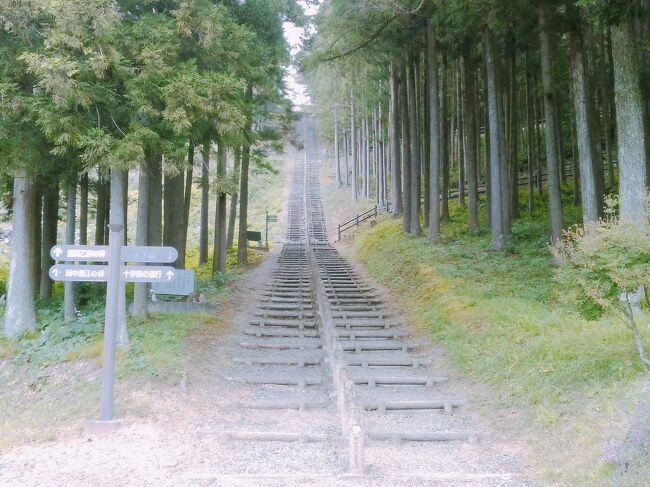 一関市の花泉・藤沢エリアをぐるっとしてきました。このエリアの見所は、100haの広大な土地に色とりどりの花がいっぱいな館が森アーク牧場、4,000本のぼたんと3,000株のしゃくやくが見られる花と泉の公園、300人を超すキリシタンが殉教した大籠キリシタン史跡等です。