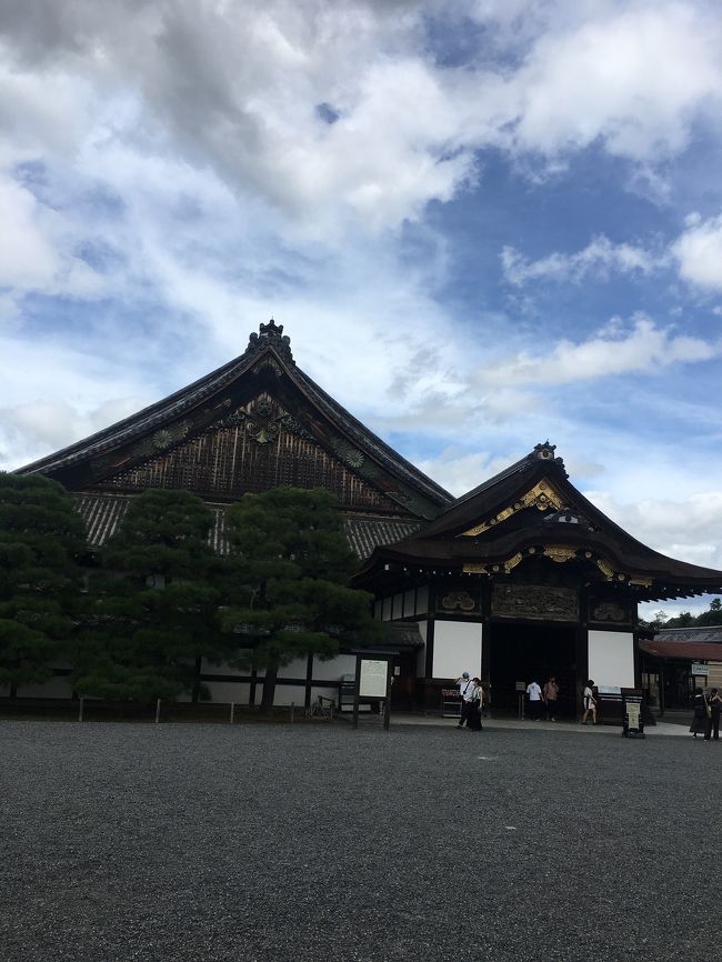 日帰り散歩 世界遺産元離宮(もとりきゅう)二条城を拝観してきました。<br />入城料金のみ620円 二ノ丸御殿観覧料込みなら1050円でした。駐車場二時間1050円<br /><br />江戸幕府15代将軍徳川慶喜が政権を朝廷に返上するという 大政奉還はここで発表されました。<br />襖絵がとても素晴らしいですよ。<br /><br />二の丸御殿内部は部屋数が33、約800畳という広さだそうで、見応えあります。<br /><br />帰りは竹田伏見のディープな中華料理店<br />「老重慶 川菜館」で食事して帰りました。<br />龍谷大学の中国人留学生が好きなお店です。<br />量が多いので3~4人でシェアして食べるのが良いかも^ ^:<br />