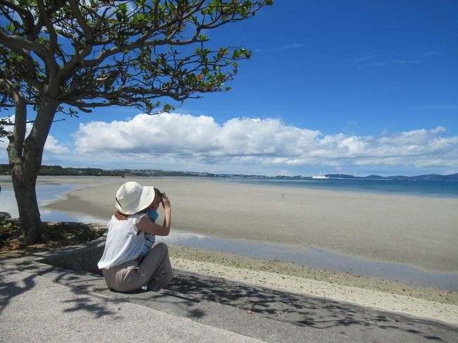 グルメもない観光もない、盛り上がりも落ちもない旅行記。だらだら書いていても終わりが見えないので今回で強制終了。<br /><br />レンタカーがあるので一番近い海中道路へ行きます。本島から海を渡り平安座島、宮城島、伊計島をつなぐ海の道へ行ってみようかな。おっ、やっと旅行記らしくなってきたか？<br /><br />帰りは伊丹経由で。那覇と伊丹、２つのJALラウンジを使ったので、コロナの影響でちょっと寂しいその様子などを入れました。<br />さて、那覇空港のJALラウンジ受付でチェックインしたら「サクララウンジをどうぞ」と言われました。「えっ、サクララウンジ？」と聞き返したらお姉さんもう一度キーボードをたたいて「プレミアラウンジへどうぞ」と変更してくれたけど、何だかちょっとわざとらしい。赤ちゃん連れはプレミアラウンジに入れたくないのかしらと、持ち前の僻みっぽさがモヤモヤ。<br /><br />その場で嫌味の一つでも言うようなキャラだったら旅行記で愚痴ったりしません。生来の人見知りもあって、何にでもにっこり笑って済ませるタイプです、私は。「本当にそういうタイプなら『えっ、サクララウンジ？』なんて言いませんよ」というご指摘ごもっともだけど(笑)<br /><br />ほかのお客様がいるから、うるさく騒ぐ赤ちゃんは歓迎されないのかもしれないけど、楽しかった旅の気分が少しブルーになりました。<br /><br />でも我が身を振り返ると、新幹線や機内で、近くの席に小さな人が座っていると「今回はハズレだ」って思っていたから、今「倍返し」されたということなんでしょうか。