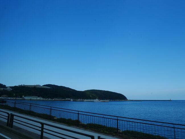 あ今回の旅のきっかけは1通のメルマガ。<br />4トラの旅行記でトラベラーさんの旅行記を見て気になっていた壱岐・対馬。<br />が、車の運転が出来ないとちょっと厳しいな~と思っていたけど…ツアーなら行ける!<br />見つけたのがコロナの感染第2波が来ているといわれていた7月だったので時期的に友達を誘うのもためらわれたので思い切って1人参加。<br />国内ツアーの一人参加実は初めてなんだけど…大丈夫かな?<br />GO TOトラベルの対象になっている他、国の特定有人国境離島地域社会維持推進交付金2,000円の助成に加えて、新型コロナウィルス感染症復興対策費等として20,000円の助成を受けているとかで食事内容も充実しているのにお値段が安い!<br />一人参加でも46,220円。<br />※行きが福岡経由から長崎経由に変更になったので旅行当日220円の返金があり、結果的に46,000円に。<br />10月以降の出発なので地域共通クーポンももらえて超お得!<br />おまけに2,000円分の対馬特産品のプレゼントもついているという。<br />これは行くしかないでしょってことで申し込んだ。<br />さてどんな旅になったかは旅行記をどうぞ。